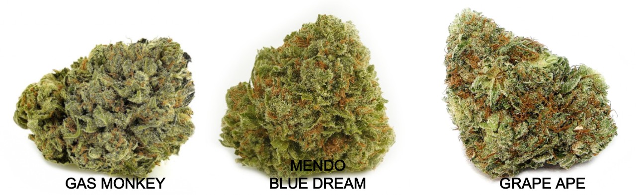 GasMonkey, Mendo Blue Dream, Grape Ape.jpg
