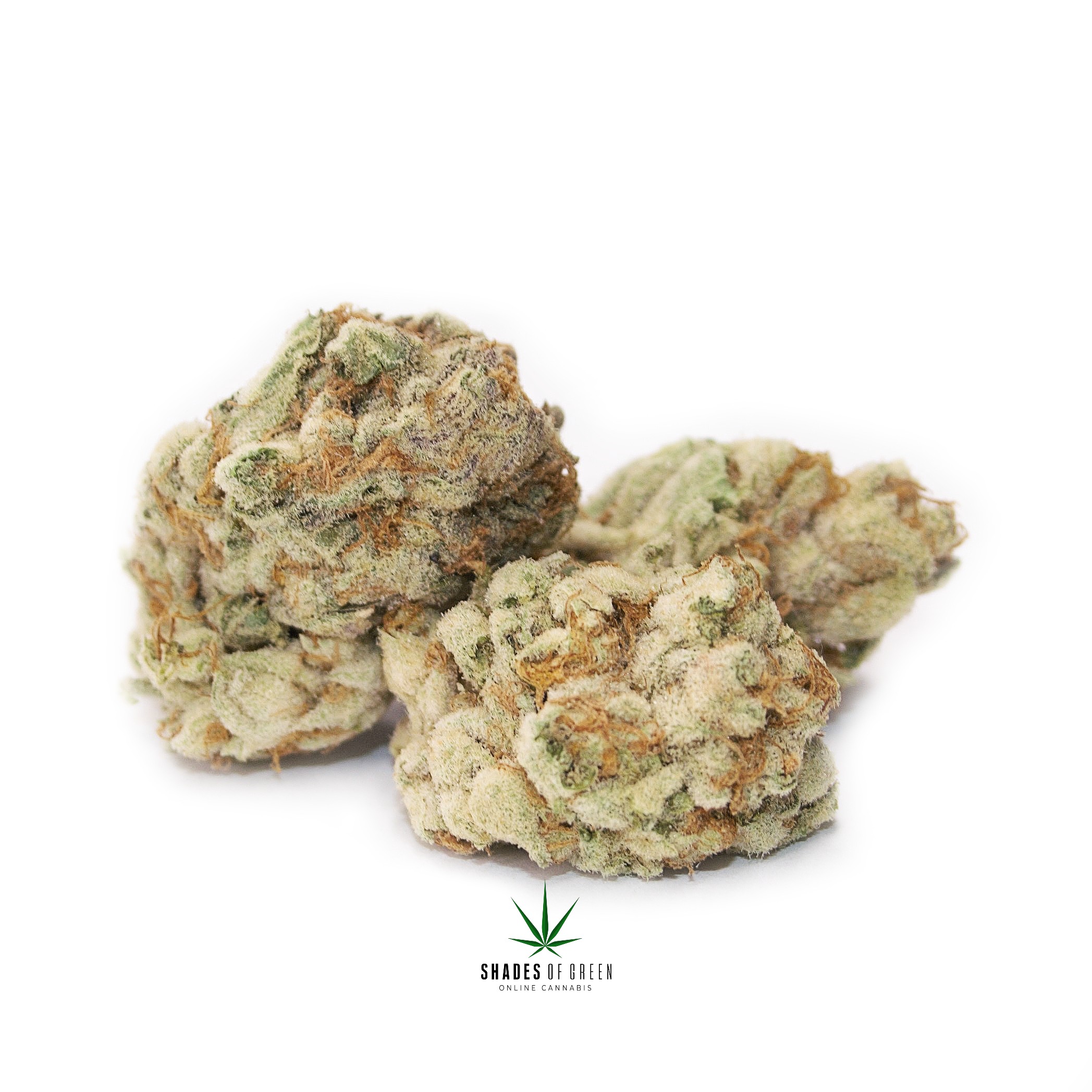 White Cherry Pie AAAA+ SOG (1).jpg