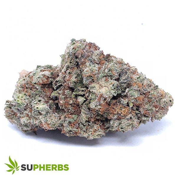 Donkey-Butter-Strain-buy-Donley-Butter-Strain-online-in-canada-at-supherbs-today.jpg