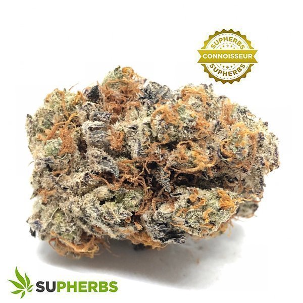 Reese-McFlurry-Strain-buy-Reese-McFlurry-Strain-online-in-canada-at-supherbs-4.jpg