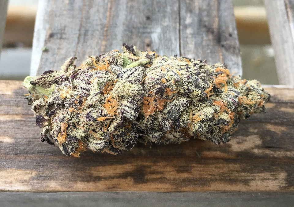 Peanut Butter Breath 1