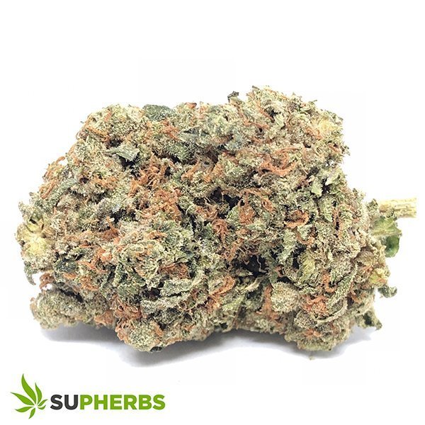 king-bubba-strain-buy-king-bubba-strain-online-in-canada-at-supherbs.jpg