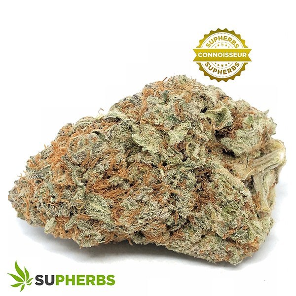 Mandarin-47-Strain-buy-Mandarin-47-Strain-online-in-canada-at-supherbs.jpg