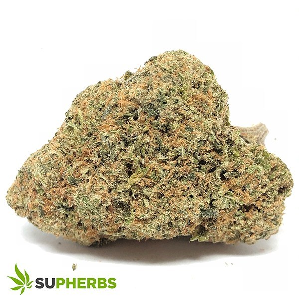 Lemon-Congo-Strain-buy-lemon-congo-strain-online-in-canada-at-supherbs.jpg