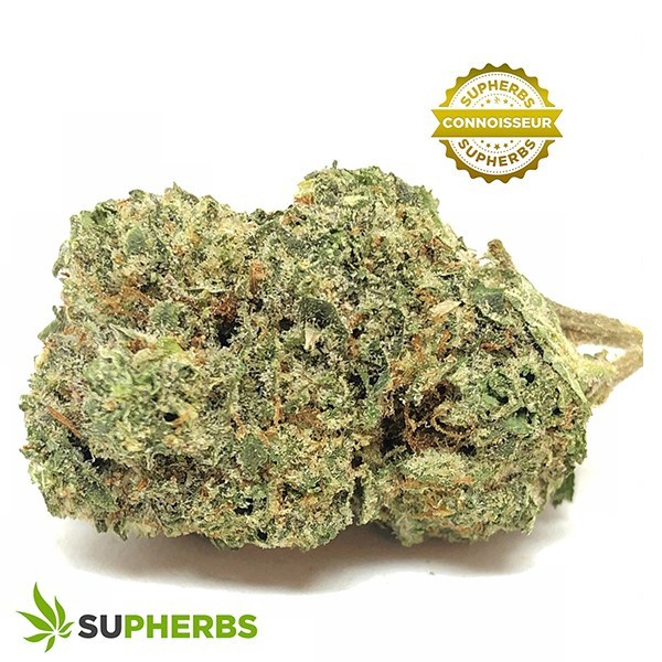 Ghost-Breath-Strain-buy-Ghost-Breath-Strain-online-in-canada-at-supherbs.jpg