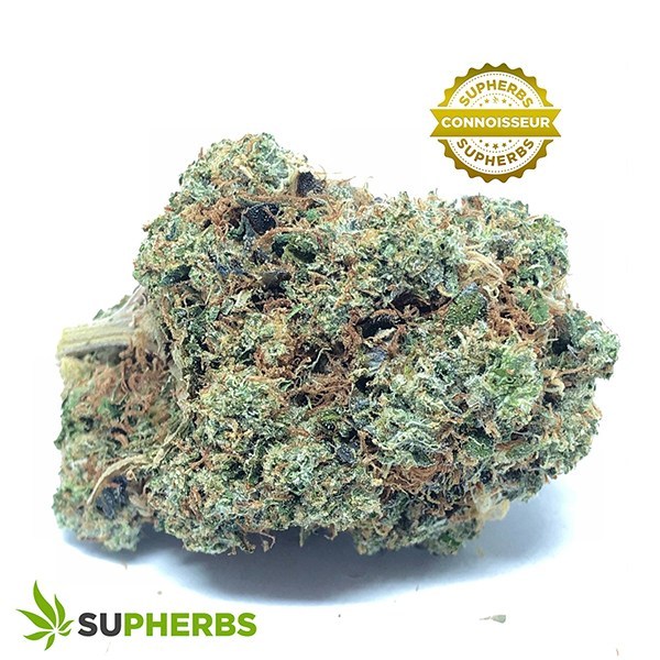 Birthday-Punch-Strain-buy-Birthday-Punch-Strain-online-in-canada-at-supherbs.jpg