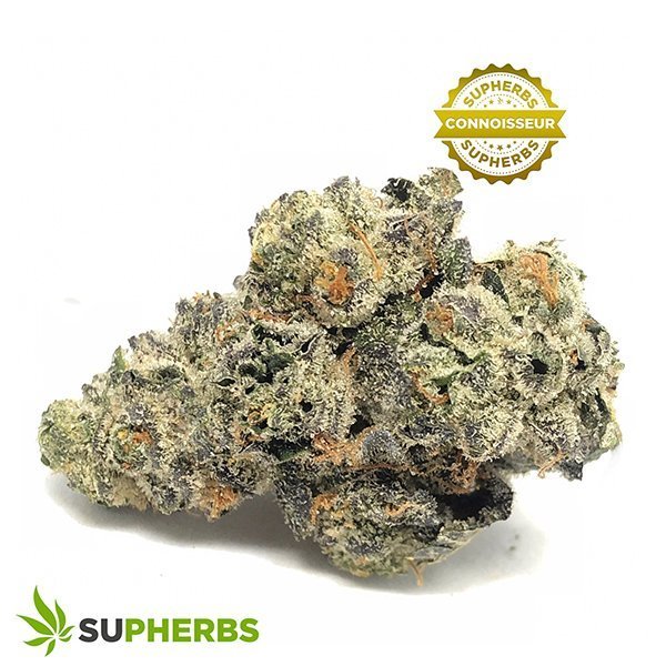 Sherbert-Cream-Strain-Buy-Sherbert-Cream-Strain-Online-in-canada-at-supherbs.jpg