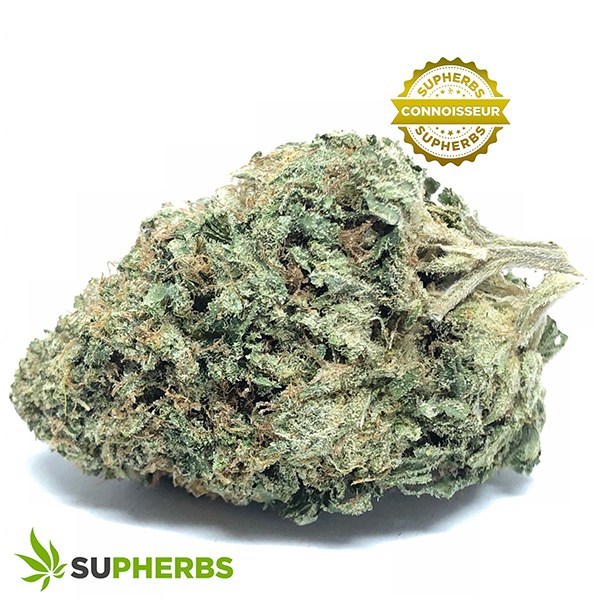 Georgia-Pie-Strain-buy-georgia-pie-strain-online-in-canada-at-supherbs.jpg