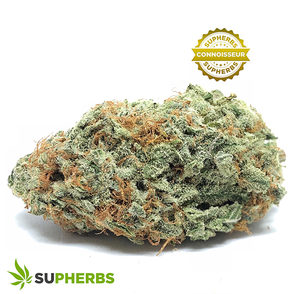 Blackberry-Cheesequake-Strain-buy-Blackberry-Cheesequake-Strain-online-in-canada-at-supherbs.jpg