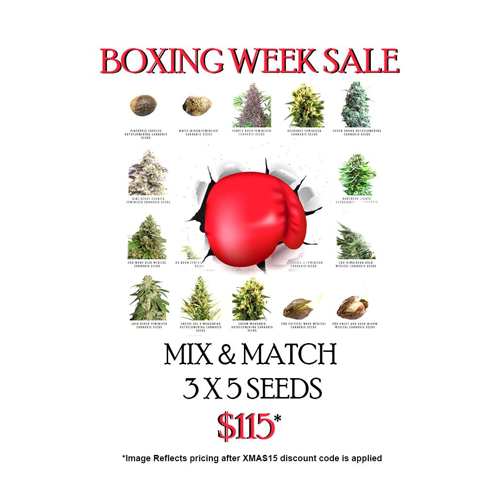 BoxingweekSale-buyonline-cannabisseeds-wheretobuyseeds.jpg