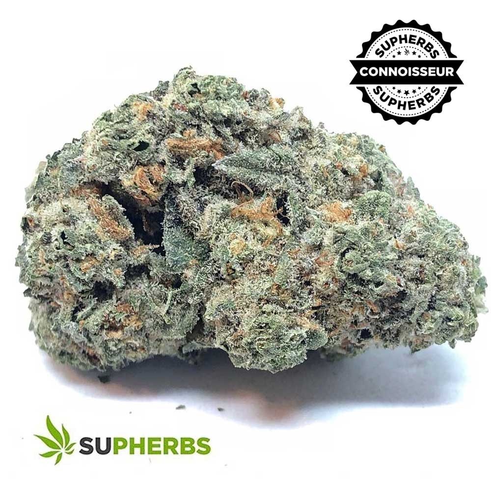 gorilla-grapes-strain-buy-online-canada-1.jpg