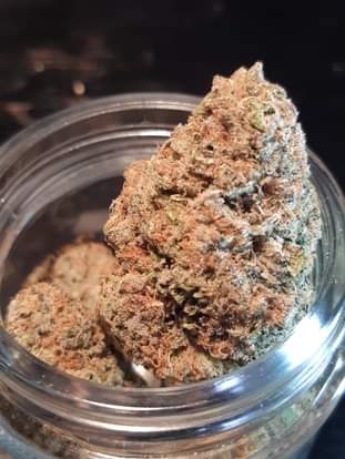 blueberrykush9136947646_430865034617965_5442271635713065975_n.jpg