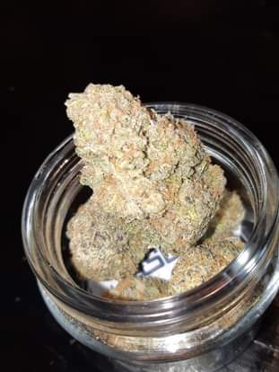 blueberrykush7136944498_232768971700391_1973889340006865724_n.jpg