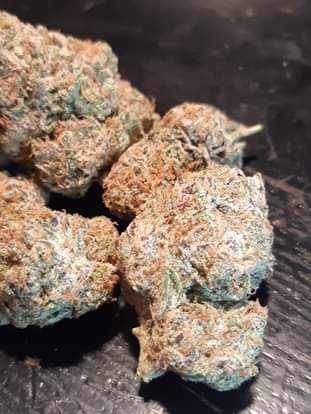 blueberrykush5136948670_406645183752350_5717828238628428992_n.jpg