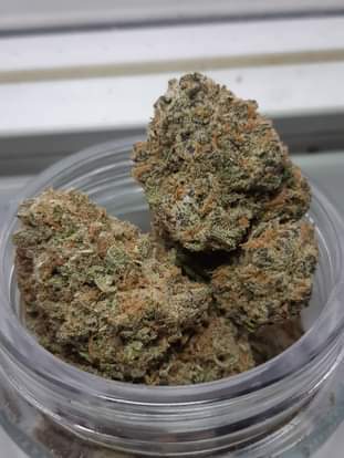 blueberrykush2136494887_457431762092288_1665399580432721449_n.jpg