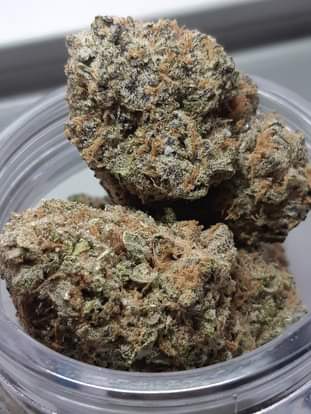 blueberrykush1137076252_161573445371825_5908331875216095331_n.jpg