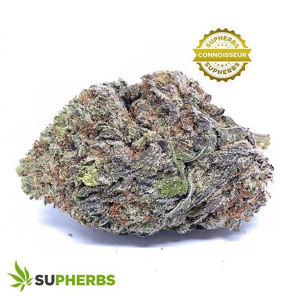 Purple-God-Strain-buy-purple-god-strain-online-in-canada-at-supherbs.jpg