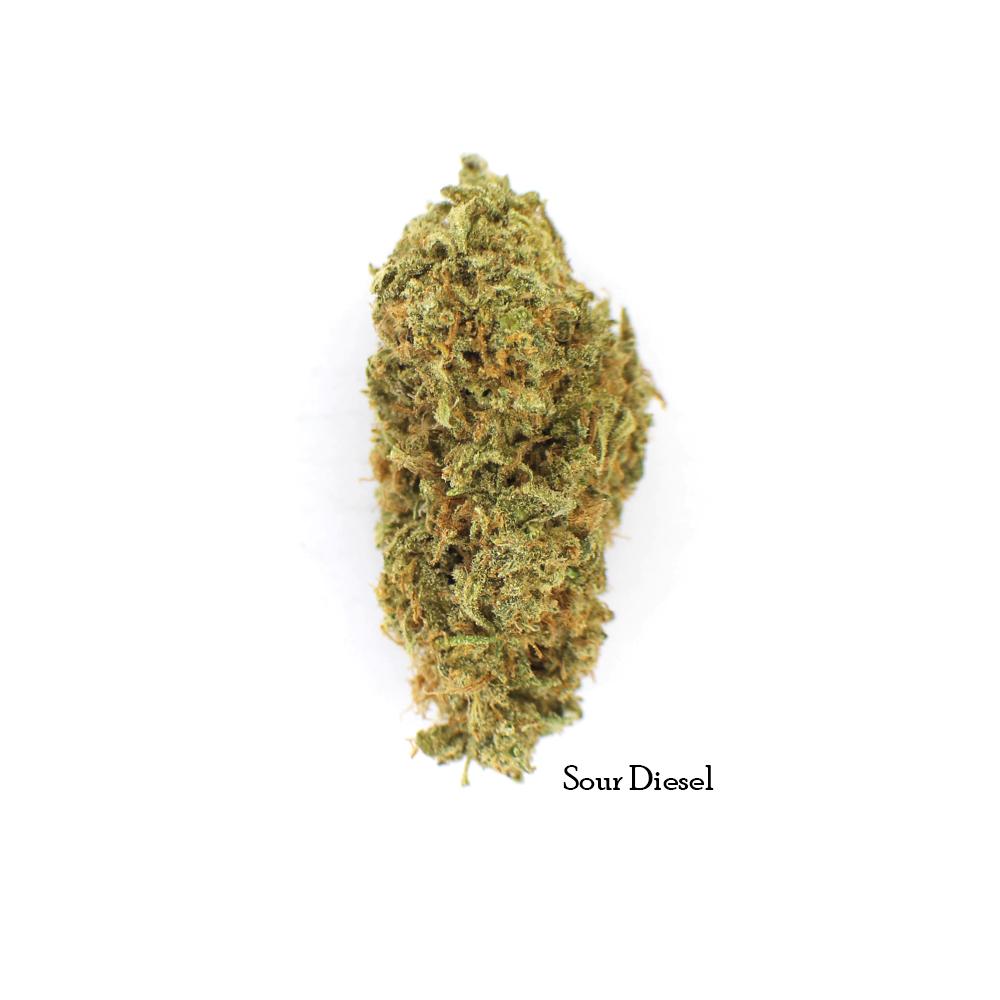 SourDiesel-MostsearchedStrain-SativaDominant-OrderOnline-bestcannabisinCanada-name.jpg