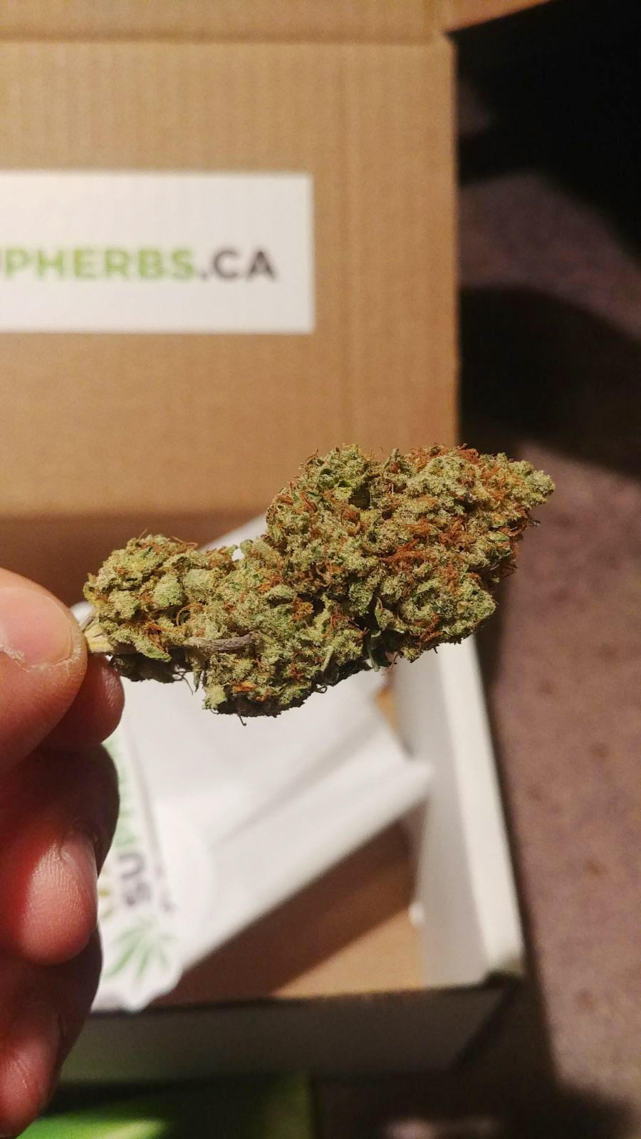 Super lemon Haze.jpg