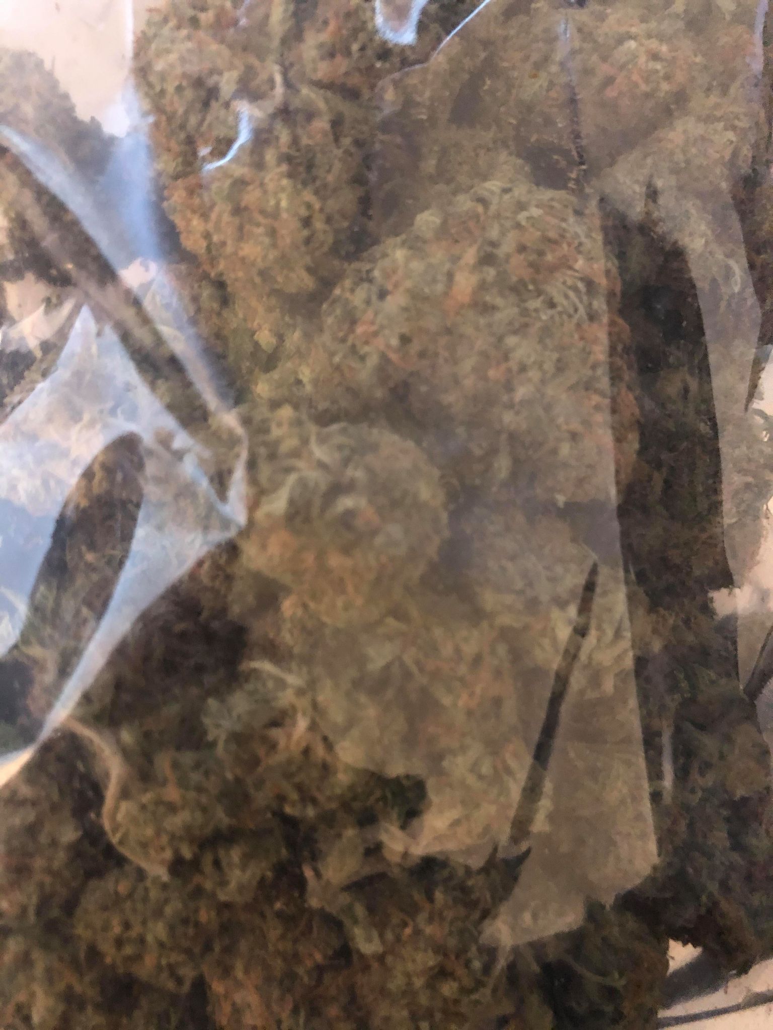 144950696_414635996431716_6916983264227357028_n (1).jpg