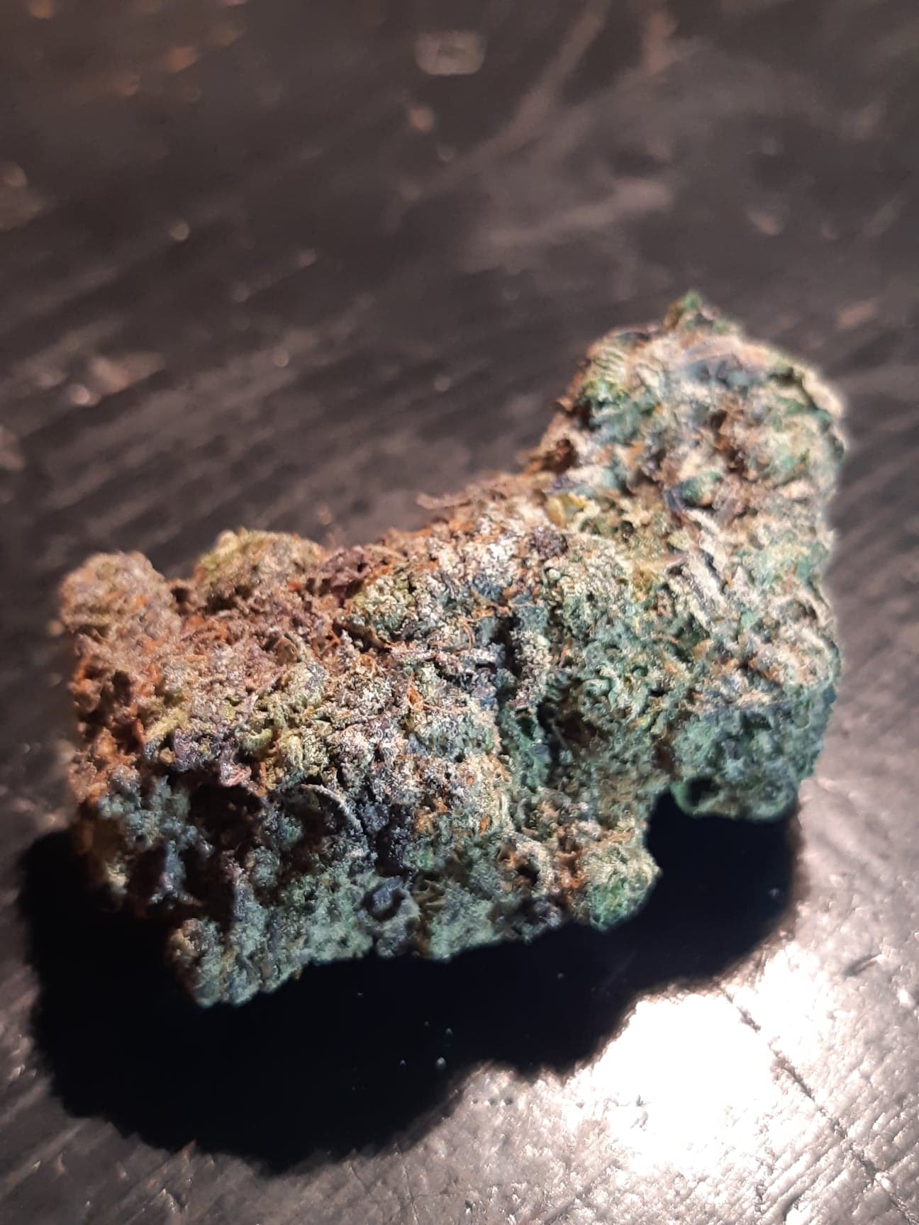 Gelato4148649857_444219943450248_8134500033855905512_n.jpg