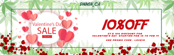 DNMN Valentine's Day Sale.jpg