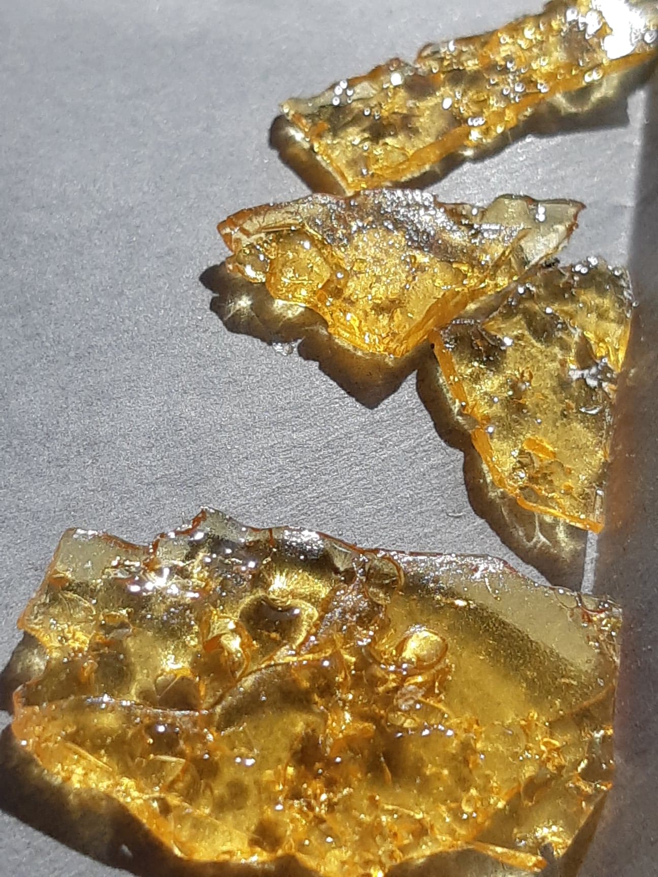 Pinkkushshatter2150159838_2793402274217009_9113592931764964611_n.jpg