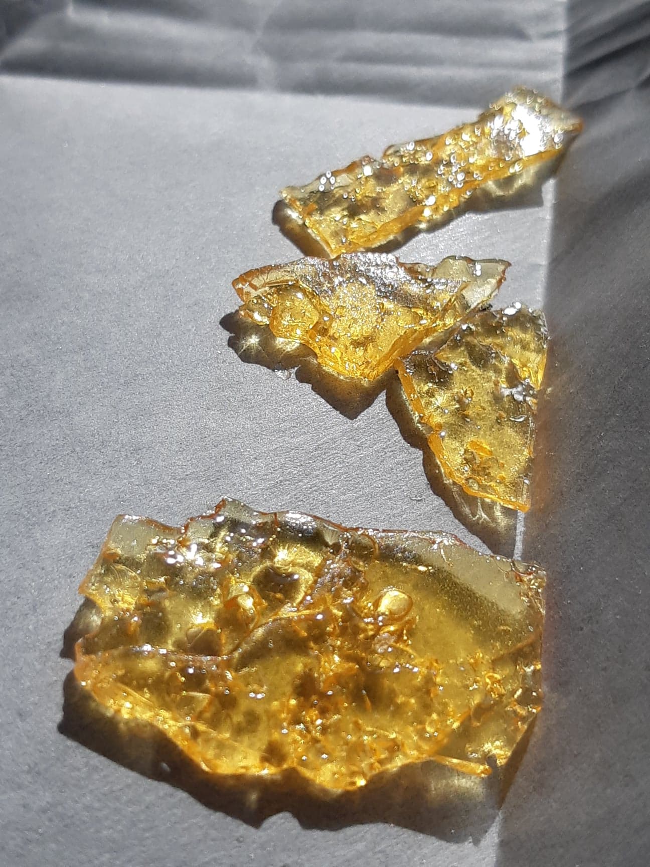 Pinkkushshatter1149503769_731961637517136_8962509034389744633_n.jpg