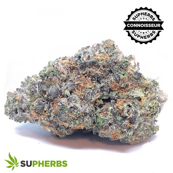 Fortune-Cookie-Strain-Buy-fortune-cookie-strain-online-in-canada-at-supherbs-weed-delivery-near-me.jpg