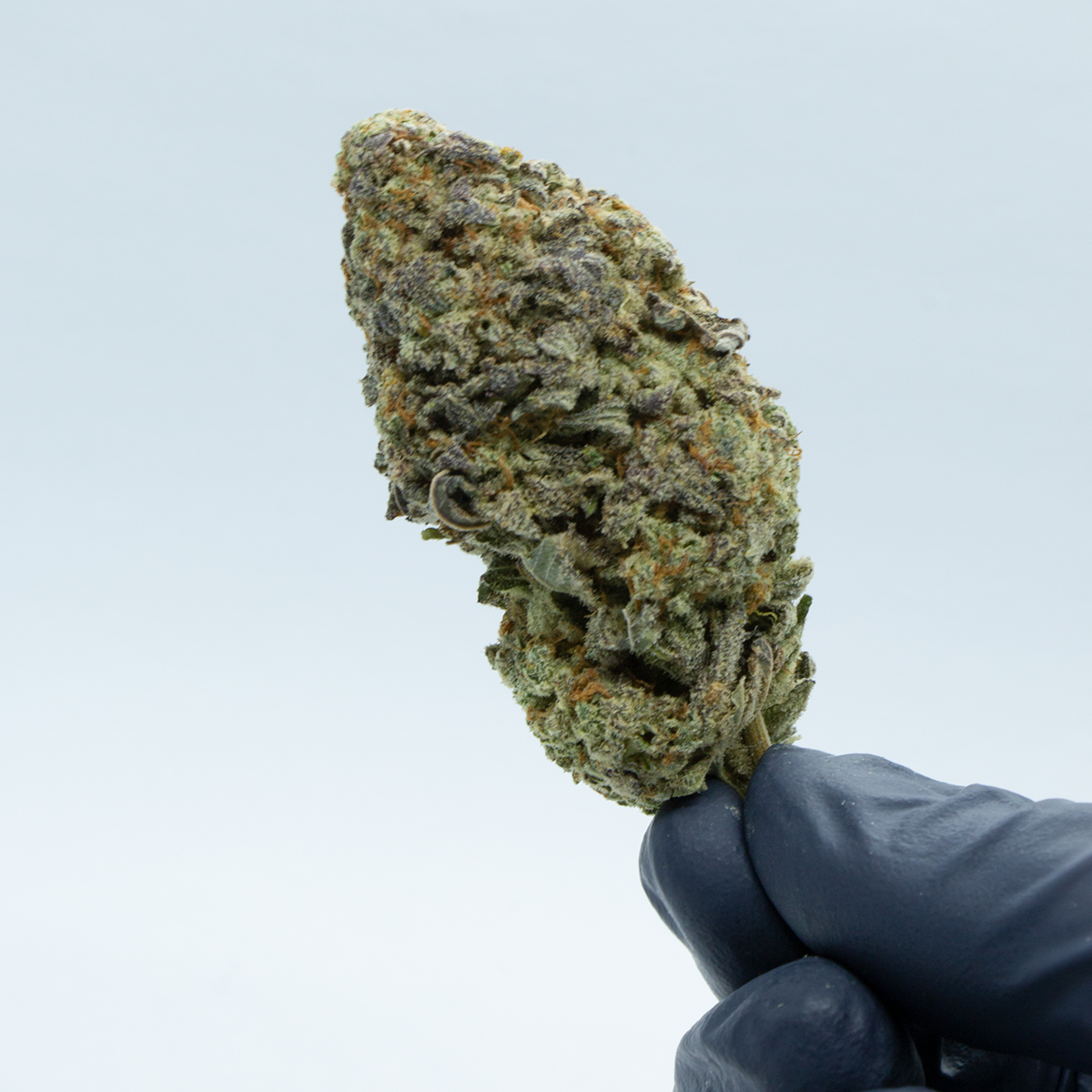 Mac Stomper Hand Nug.jpg