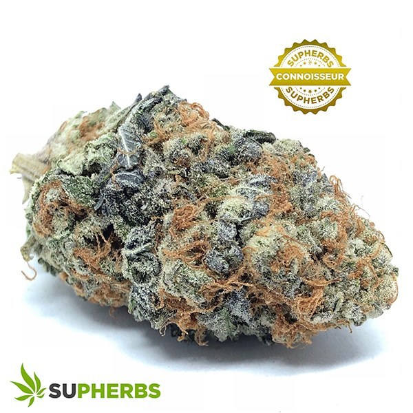 Planet-Dosi-Strain-buy-Planet-Dosi-Strain-online-in-canada-at-supherbs.jpg