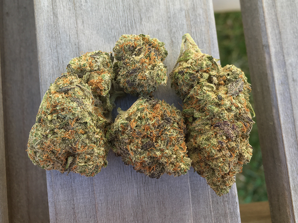 Peanut Butter Breath 1