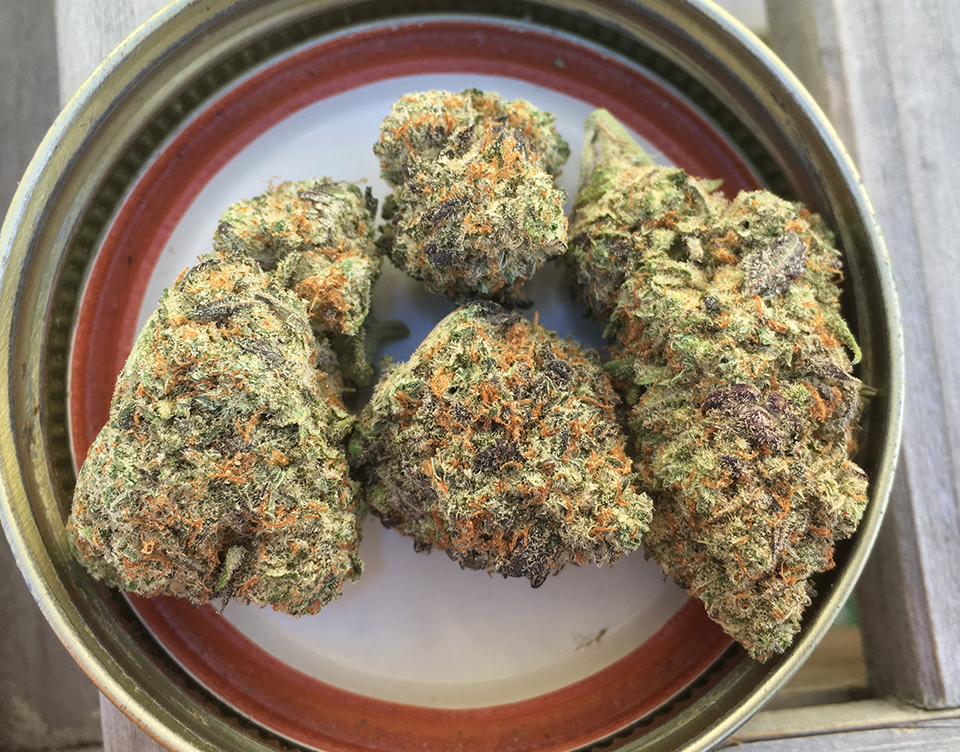 Peanut Butter Breath 2