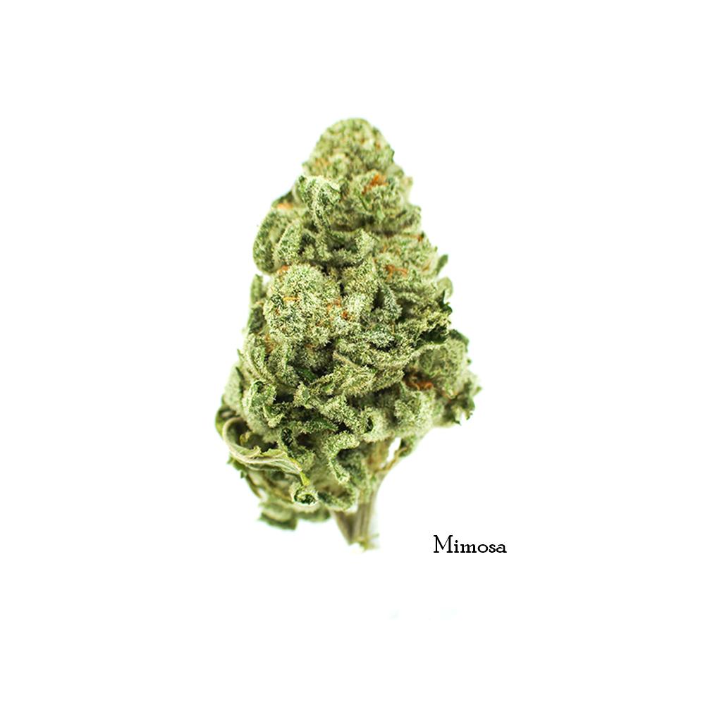 BuyMimosaSativaDominantHybridMarijuanaOnline-AAAA-OnlineDispensaryinCanada.jpg