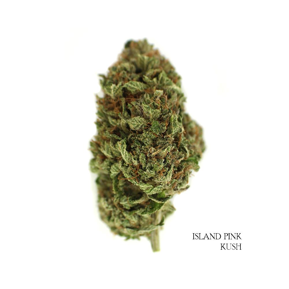 IslandPinkKush-IndicaDominant-OrderOnline-Delivery-Canada-BestStrain.jpg