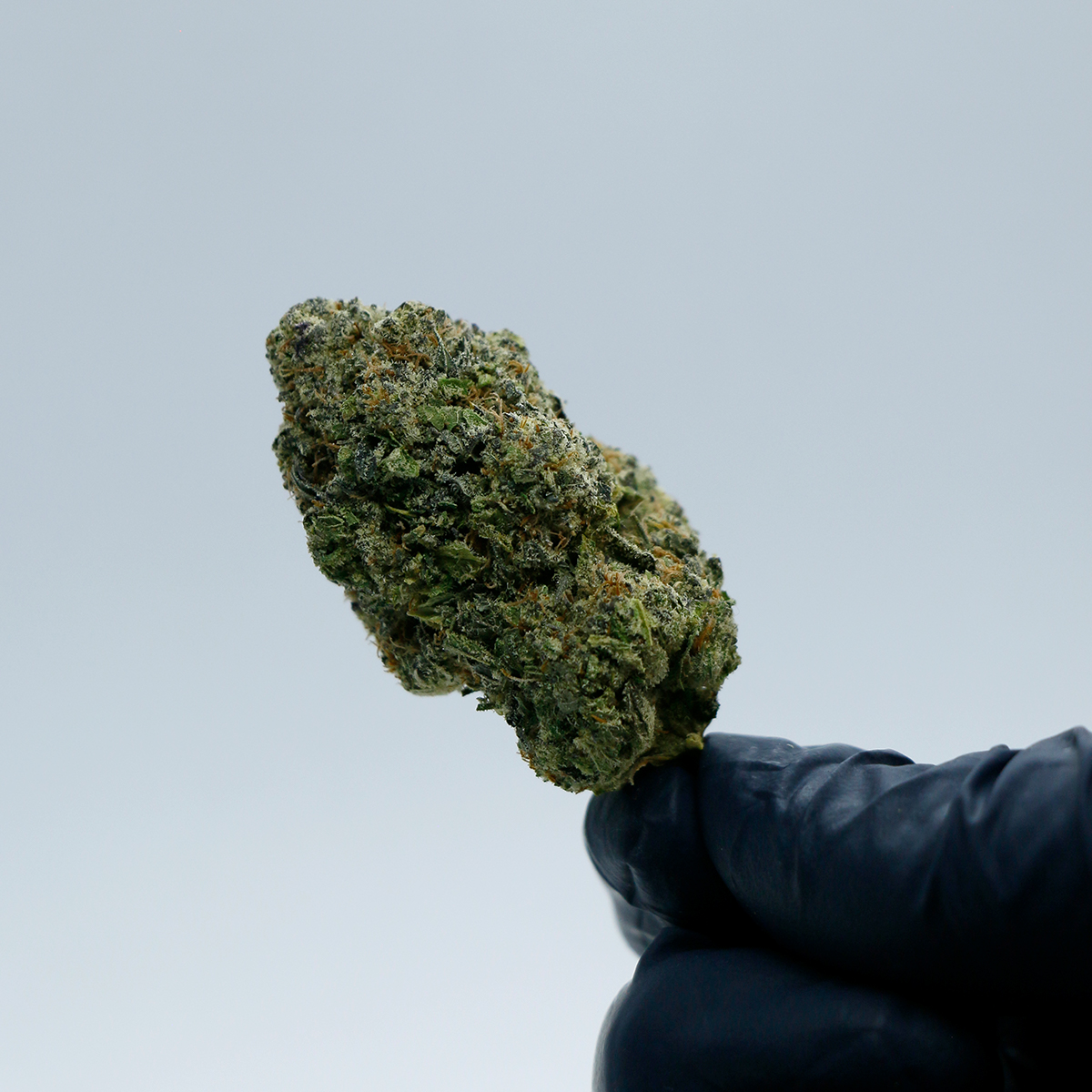 Blue Runtz Hand Nug.jpg