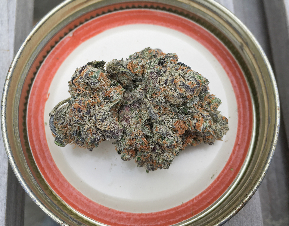 Mendo Kush 1