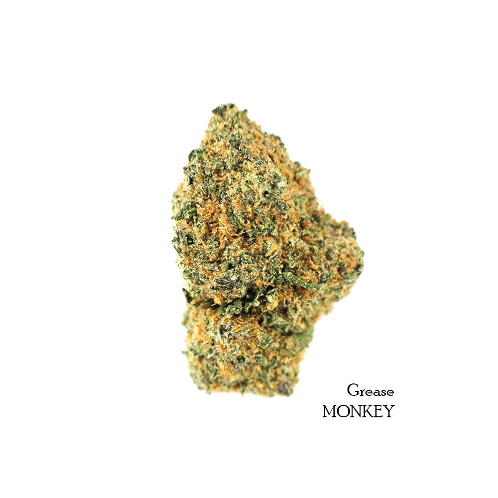 BuyGreaseMonkeyIndicaDominantHybridMairjuanaFlower-AAAA-OnlineDispensaryCanada_43c7b164-8d33-4d69-81db-8c811c086771.jpg