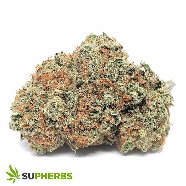 Super-Lemon-Haze-Strain-buy-super-lemon-haze-strain-online-in-canada-at-supherbs-1.jpg