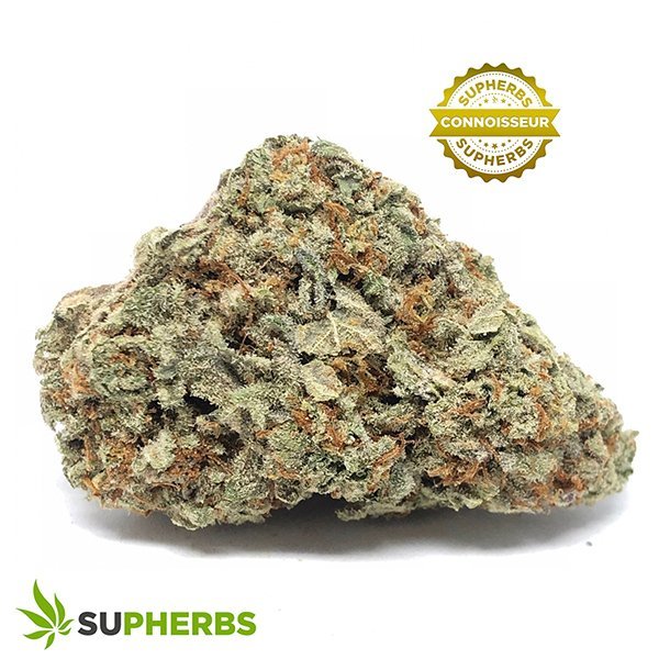 Reese-McFlurry-Strain-buy-Reese-McFlurry-Strain-online-in-canada-at-supherbs.jpg