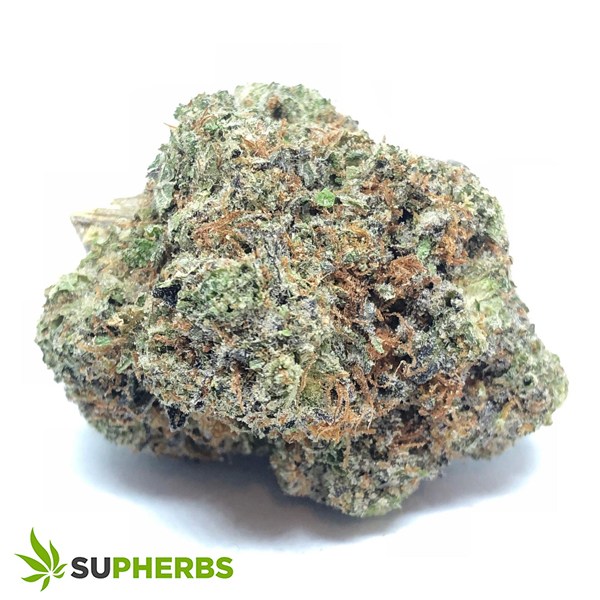 Honey-Badger-Haze-Strain-buy-honey-badger-haze-strain-online-in-canada-at-supherbs-weed-delivery-near-me.jpg