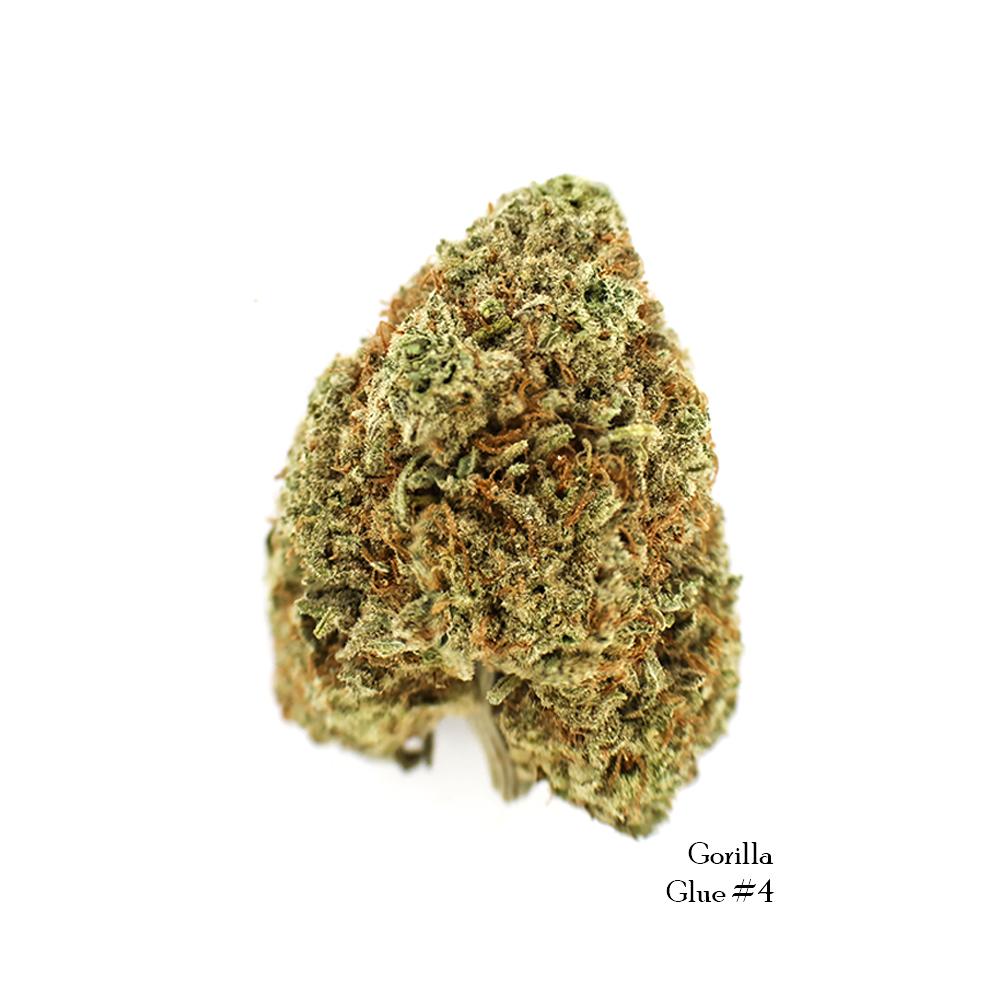 GorillaGlue_4-IndicaDominantHybrid-OrderOnline-Marijuana-Flower-Canada_d6da2a79-2d43-4bc9-827e-8b7ac53fc343 (1).jpg