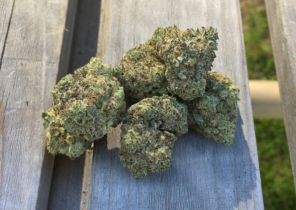 Donkey Butter 2