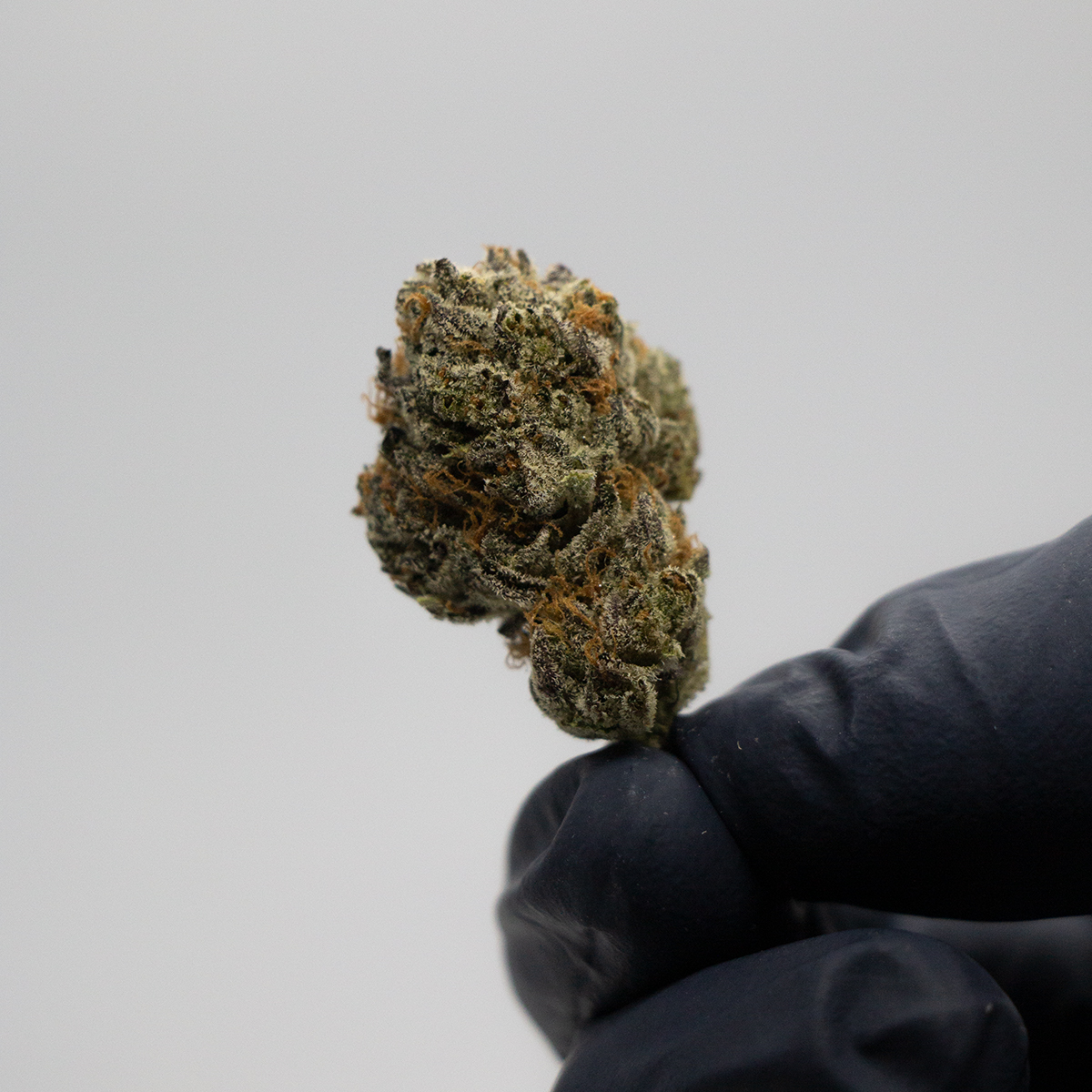 Island Pink Hand Nug.jpg