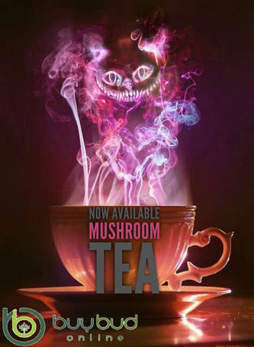 mushroom tea 1 (2).jpg