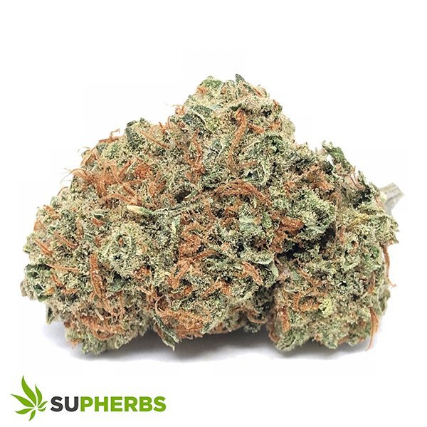 Super-Lemon-Haze-Strain-buy-super-lemon-haze-strain-online-in-canada-at-supherbs-1.jpeg