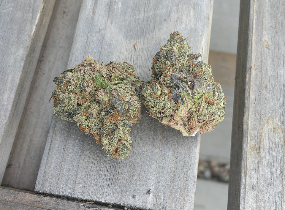 Frosted Fruitcake 1