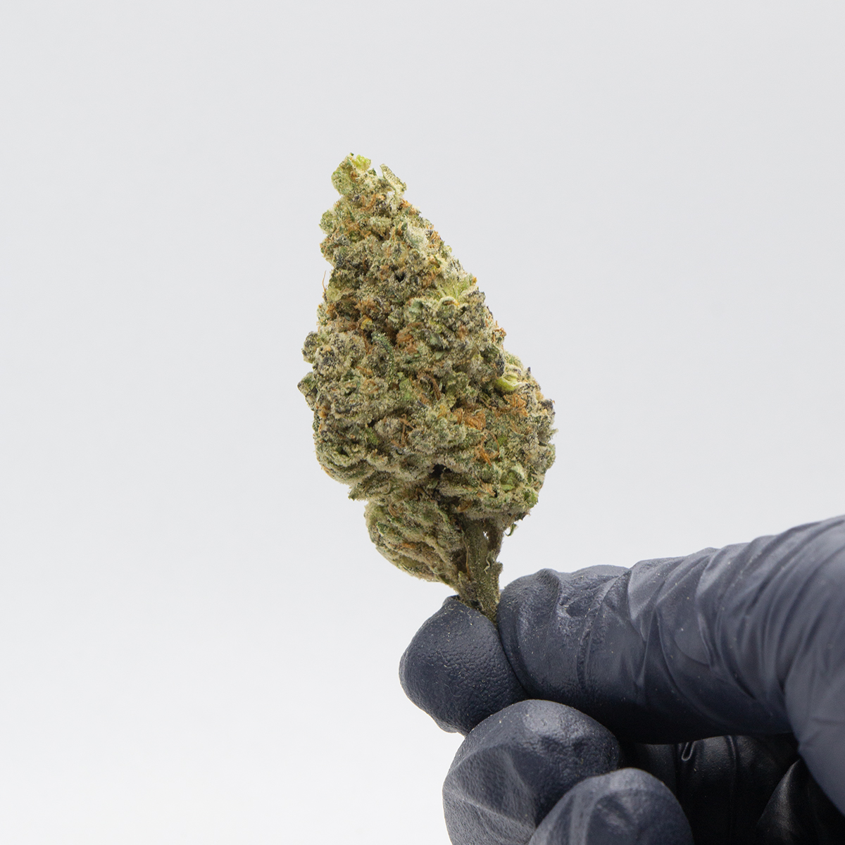 Willy Wonka Hand Nug.jpg