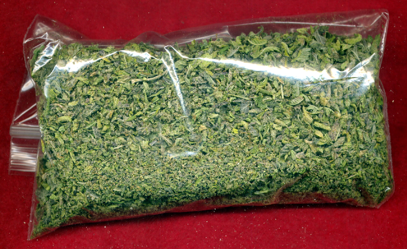 Black Diamond - OG Shark shake-trim.jpg