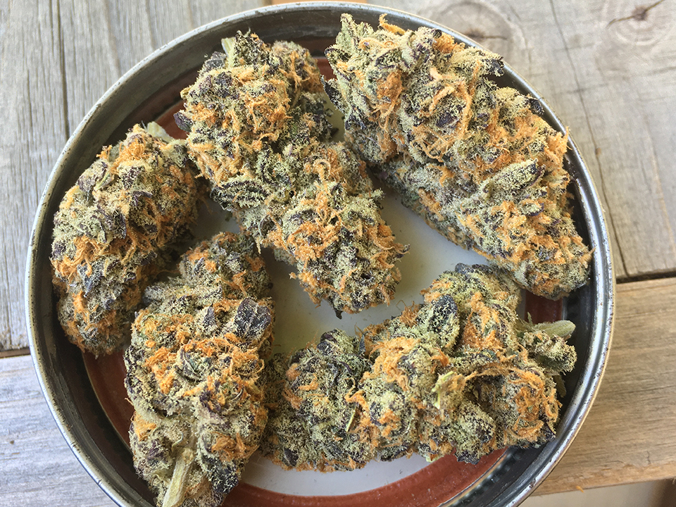 Mendo Breath 2